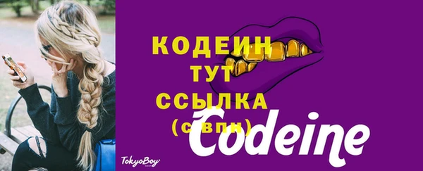 тгк Арсеньев