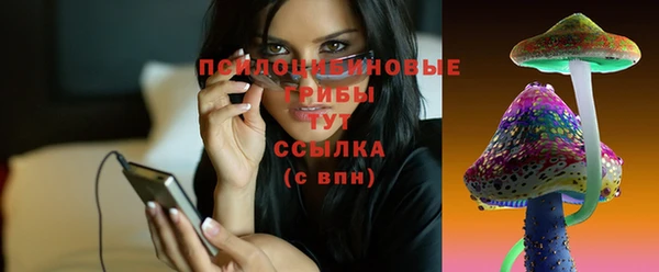тгк Арсеньев