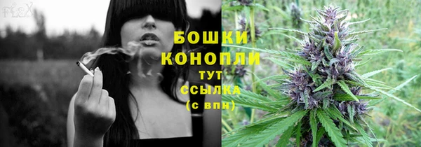 тгк Арсеньев