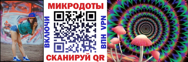 Галлюциногенные грибы Psilocybe  Спасск 